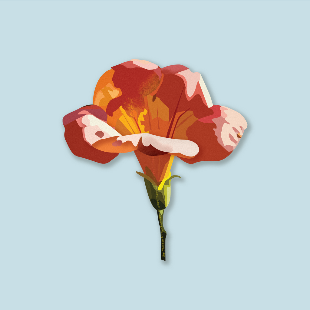 blo͞om (花開)